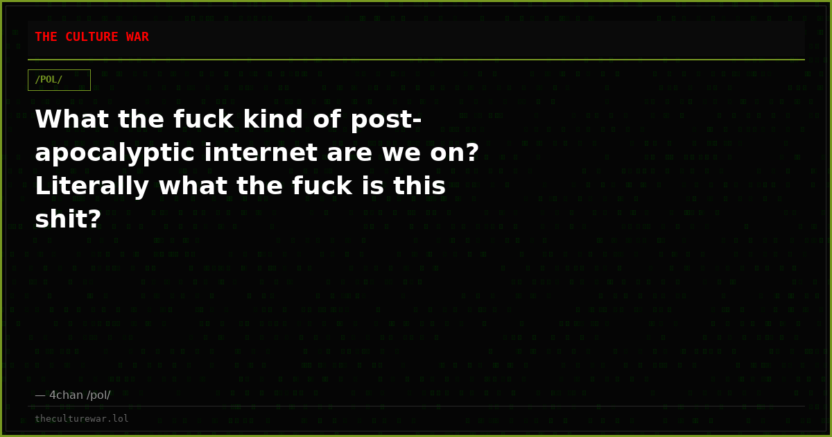 What the fuck kind of post-apocalyptic internet are we on? Literally what the fuck is this shit?