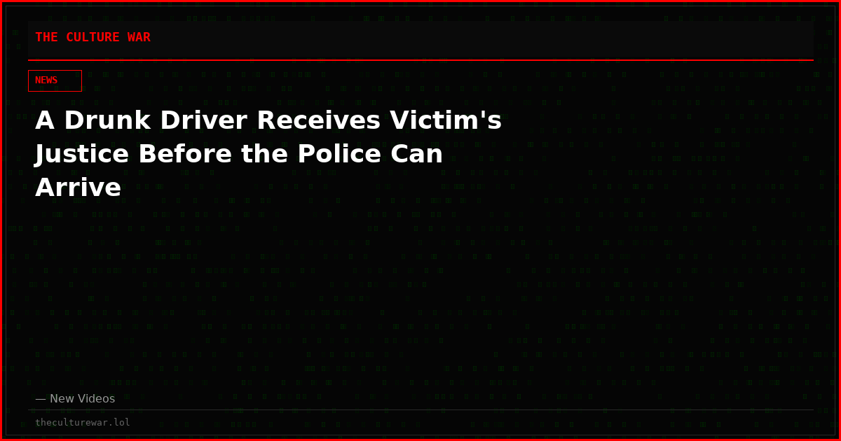 A Drunk Driver Receives Victim's Justice Before the Police Can Arrive
