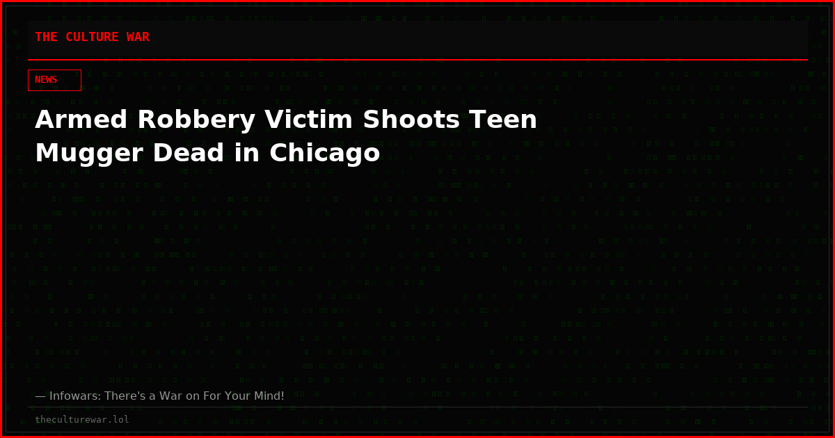 Armed Robbery Victim Shoots Teen Mugger Dead in Chicago