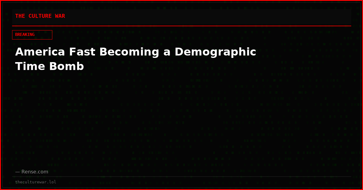 America Fast Becoming a Demographic Time Bomb