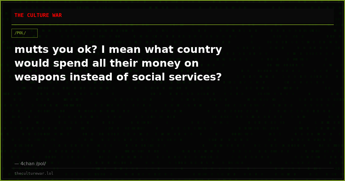 mutts you ok? I mean what country would spend all their money on weapons instead of social services?