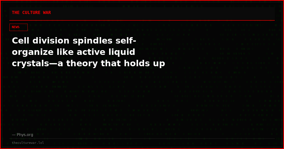 Cell division spindles self-organize like active liquid crystals—a theory that holds up
