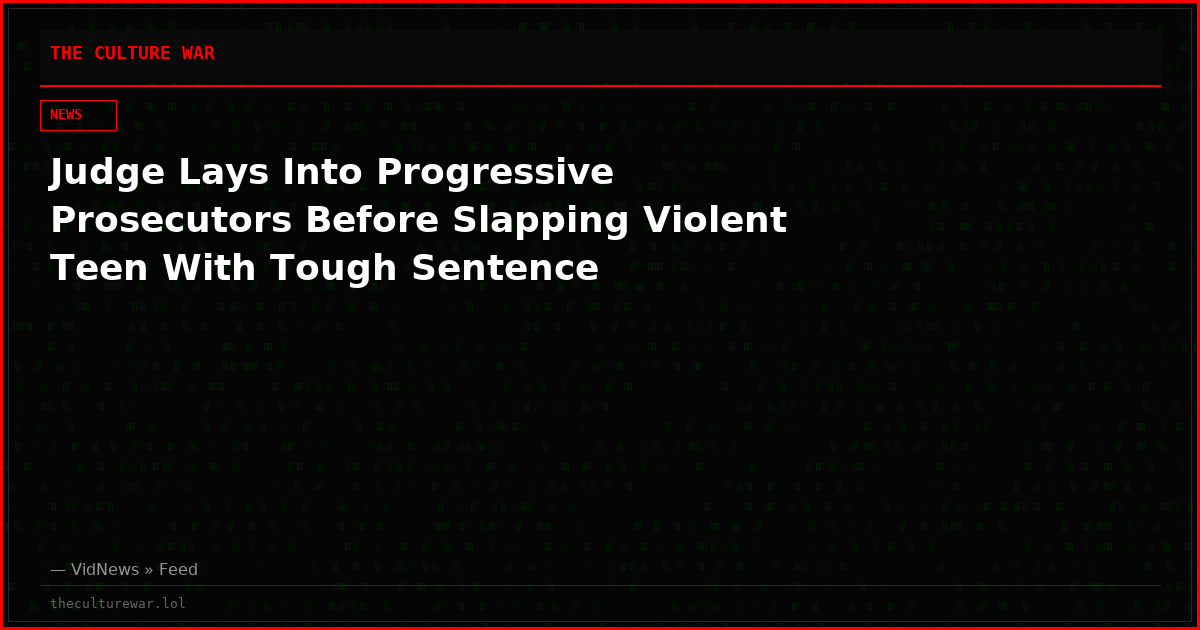 Judge Lays Into Progressive Prosecutors Before Slapping Violent Teen With Tough Sentence