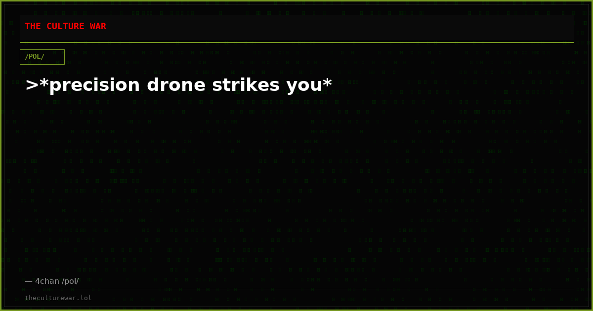 >*precision drone strikes you*