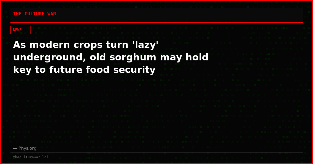 As modern crops turn 'lazy' underground, old sorghum may hold key to future food security