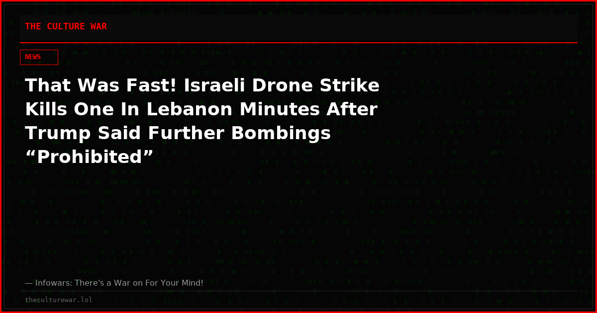 That Was Fast! Israeli Drone Strike Kills One In Lebanon Minutes After Trump Said Further Bombings “Prohibited”