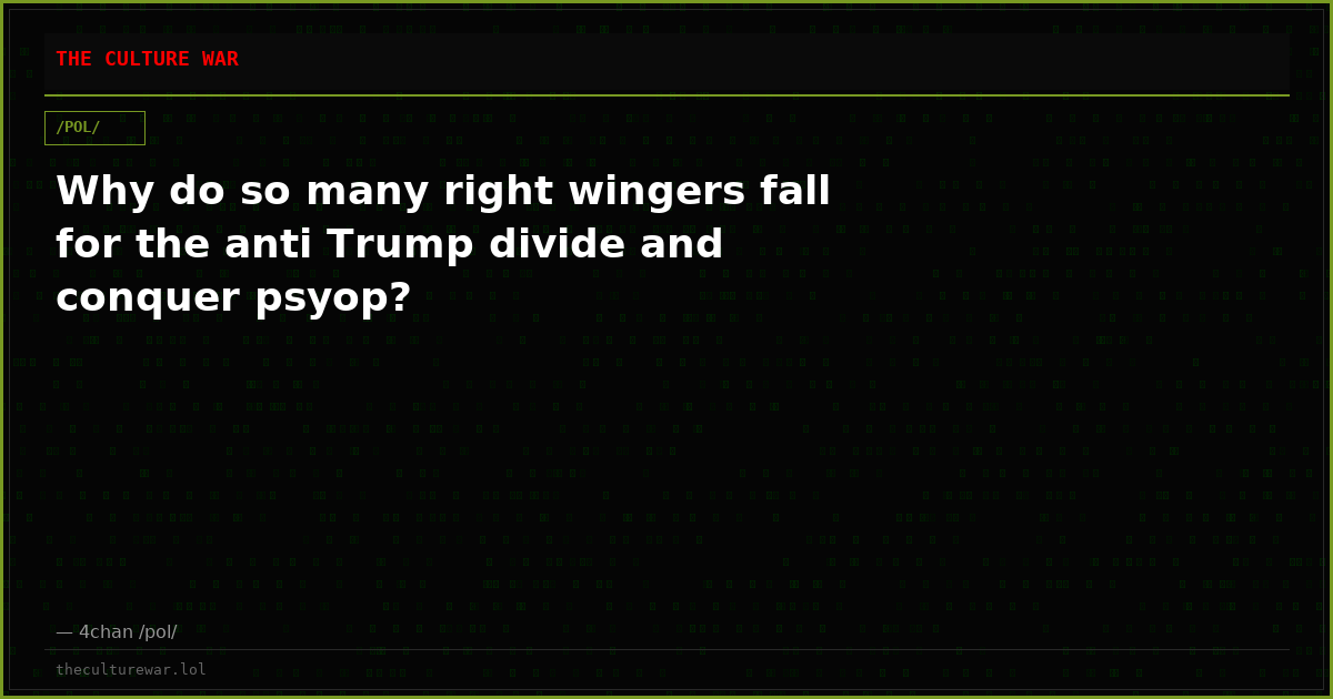 Why do so many right wingers fall for the anti Trump divide and conquer psyop?