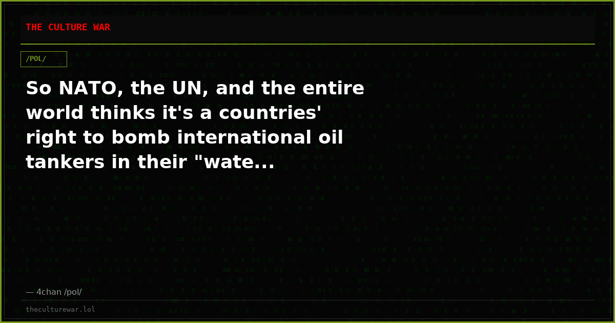 So NATO, the UN, and the entire world thinks it's a countries' right to bomb international oil tankers in their "wate...