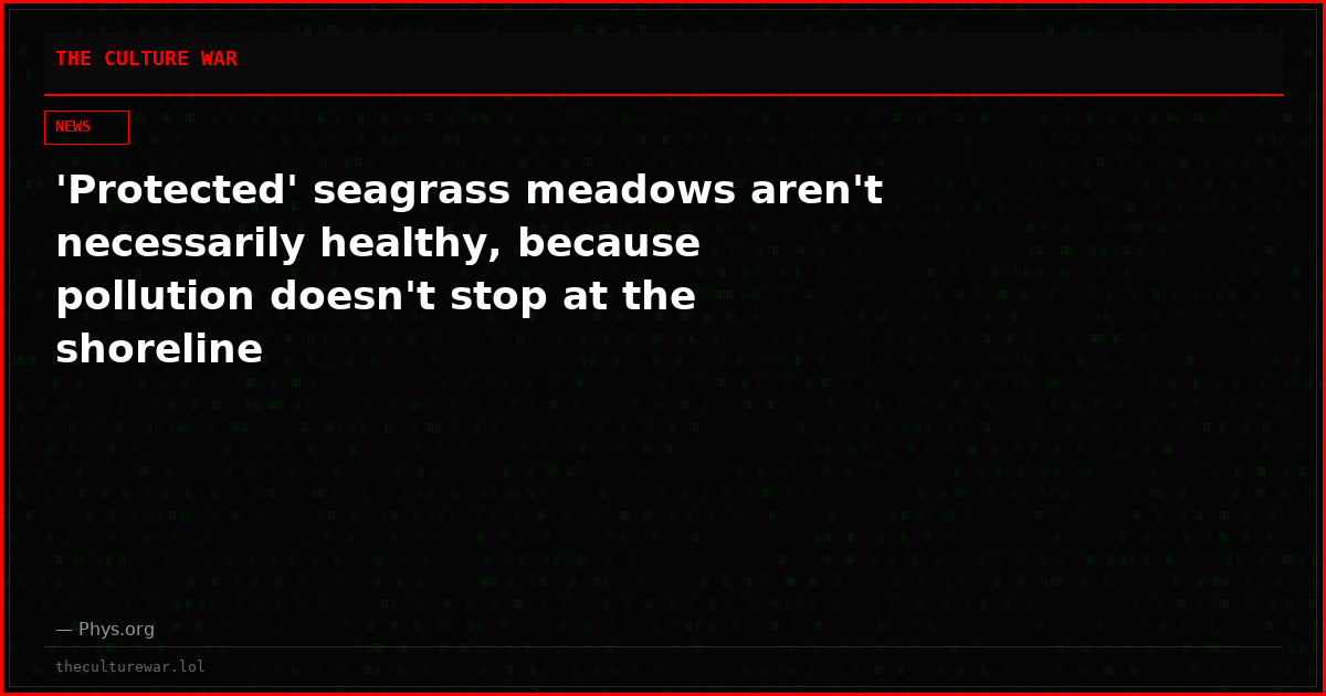 'Protected' seagrass meadows aren't necessarily healthy, because pollution doesn't stop at the shoreline