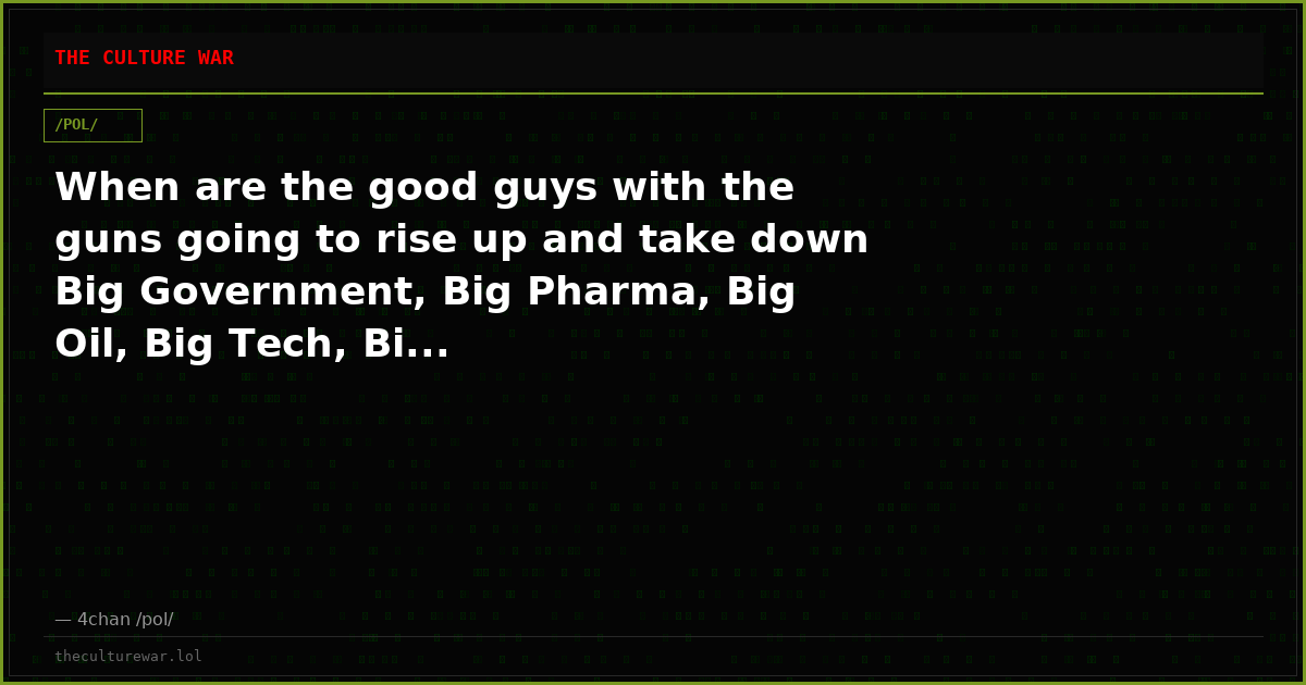 When are the good guys with the guns going to rise up and take down Big Government, Big Pharma, Big Oil, Big Tech, Bi...