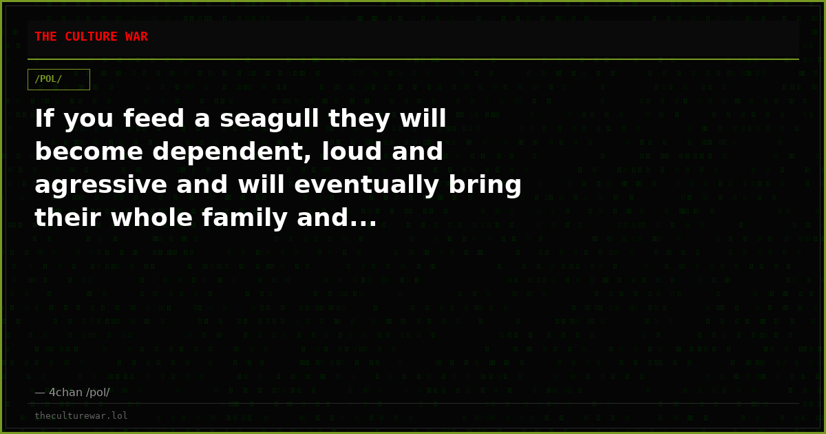 If you feed a seagull they will become dependent, loud and agressive and will eventually bring their whole family and...