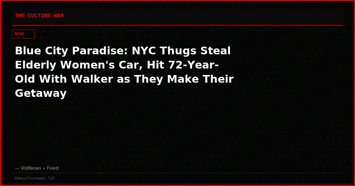 Blue City Paradise: NYC Thugs Steal Elderly Women's Car, Hit 72-Year-Old With Walker as They Make Their Getaway