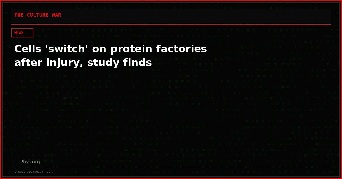 Cells 'switch' on protein factories after injury, study finds
