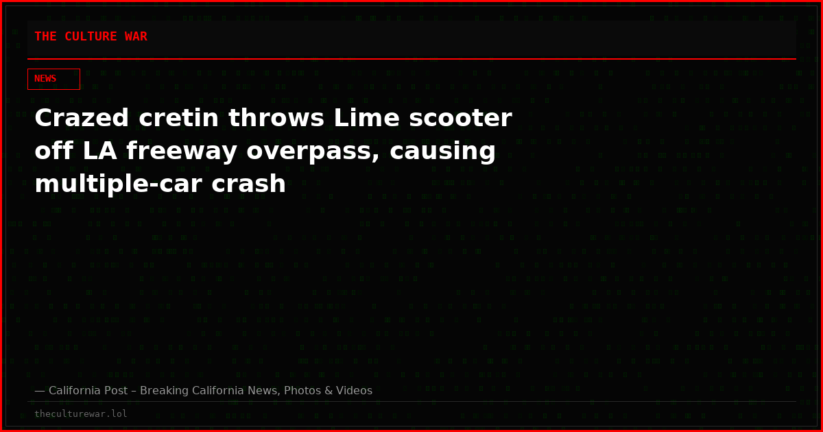 Crazed cretin throws Lime scooter off LA freeway overpass, causing multiple-car crash