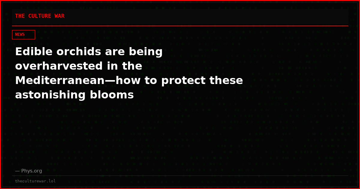 Edible orchids are being overharvested in the Mediterranean—how to protect these astonishing blooms