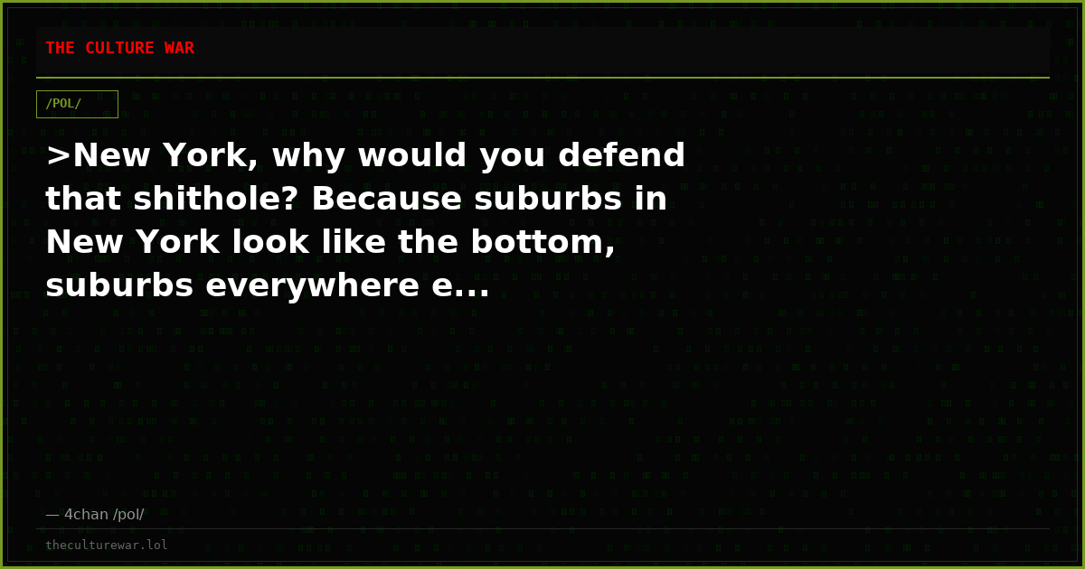 >New York, why would you defend that shithole? Because suburbs in New York look like the bottom, suburbs everywhere e...