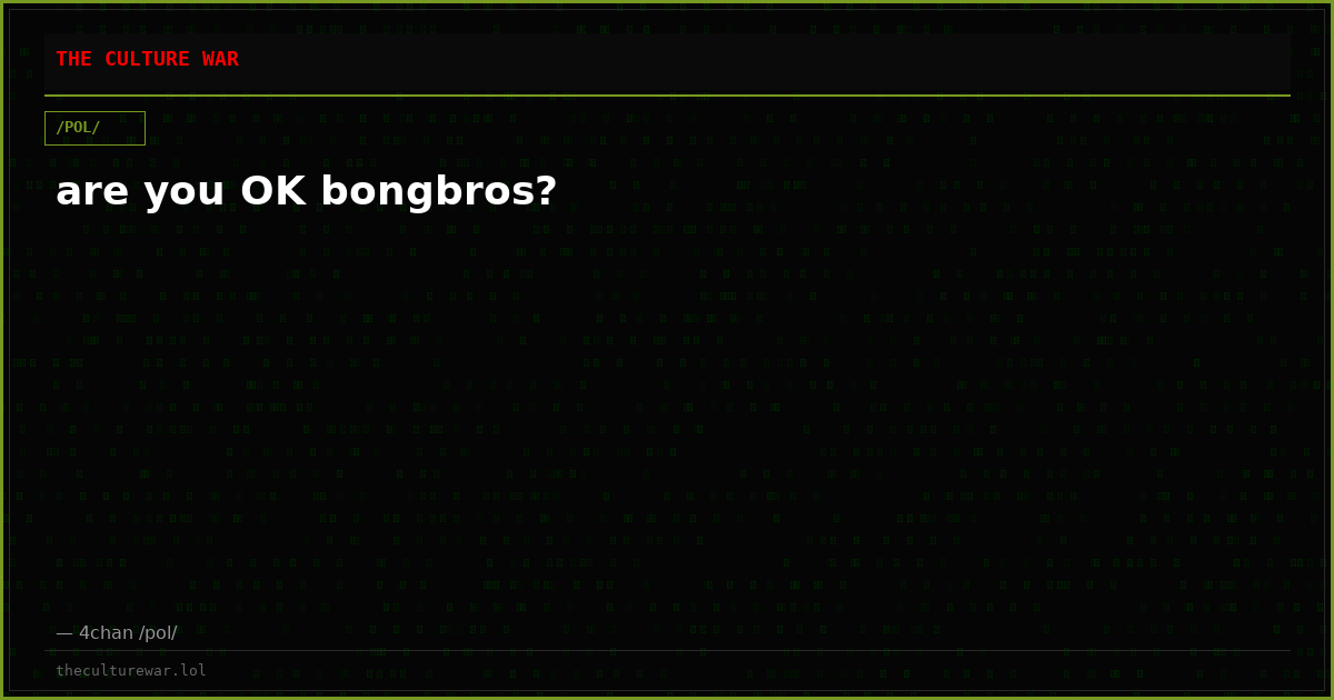 are you OK bongbros?