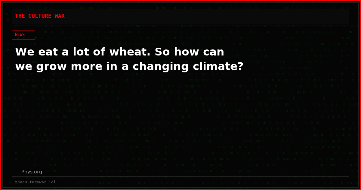 We eat a lot of wheat. So how can we grow more in a changing climate?