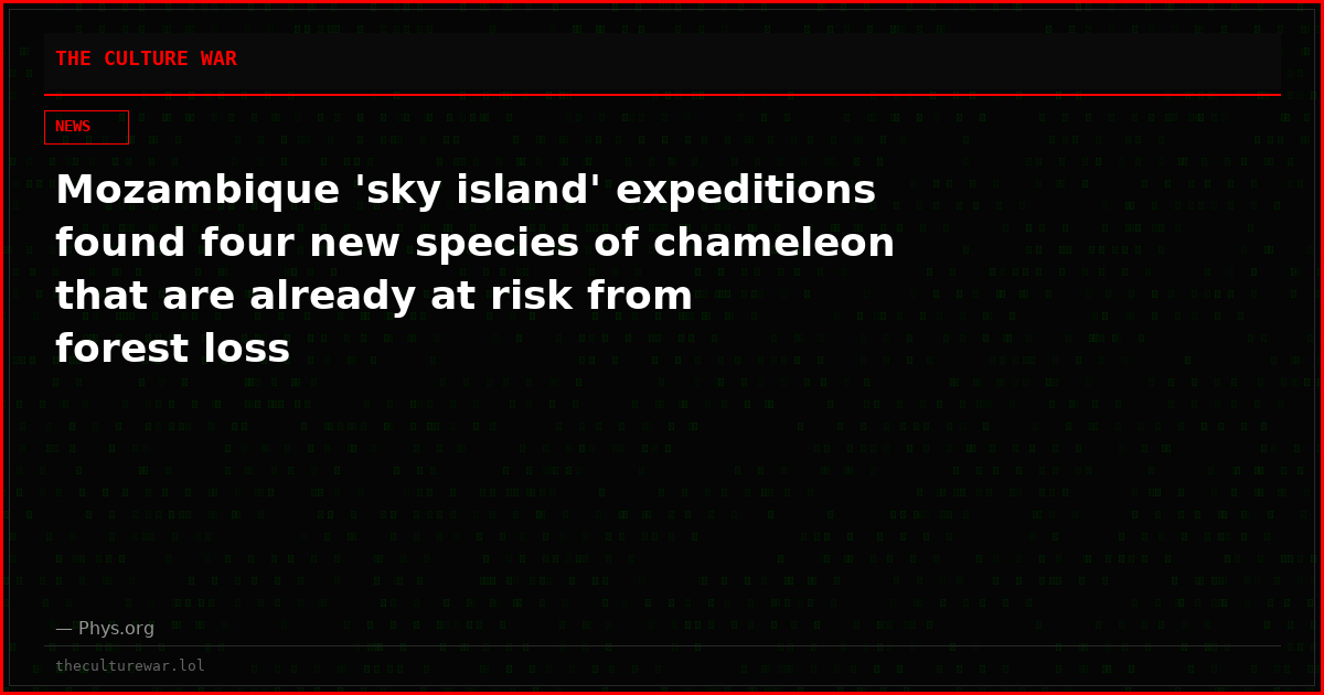 Mozambique 'sky island' expeditions found four new species of chameleon that are already at risk from forest loss