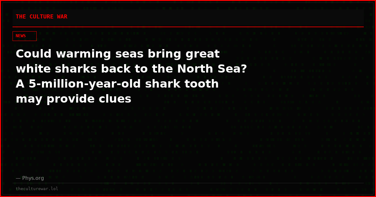 Could warming seas bring great white sharks back to the North Sea? A 5‑million‑year‑old shark tooth may provide clues