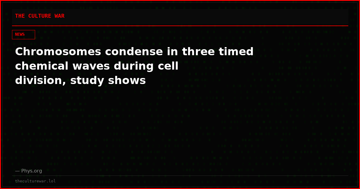 Chromosomes condense in three timed chemical waves during cell division, study shows