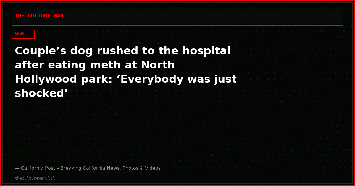 Couple’s dog rushed to the hospital after eating meth at North Hollywood park: ‘Everybody was just shocked’