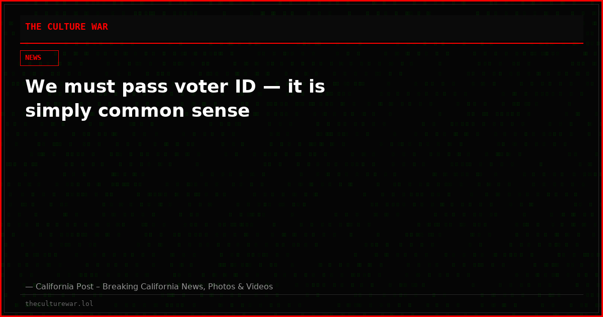 We must pass voter ID — it is simply common sense