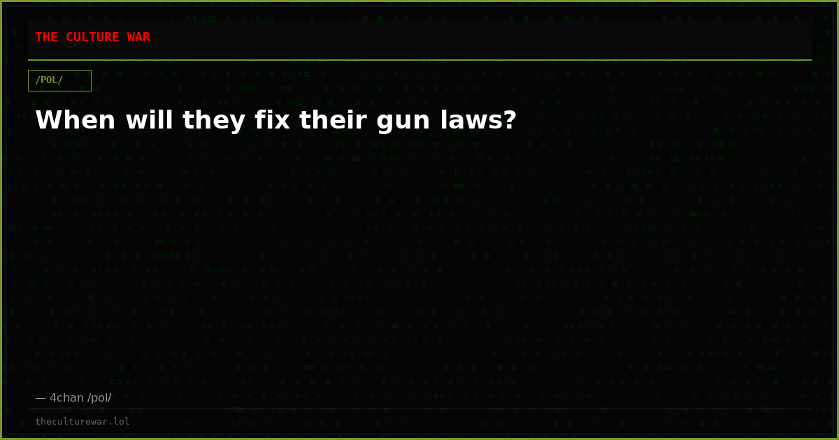 When will they fix their gun laws?