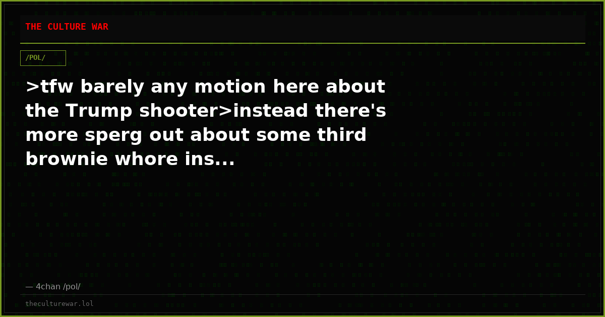 >tfw barely any motion here about the Trump shooter>instead there's more sperg out about some third brownie whore ins...