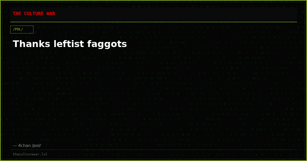 Thanks leftist faggots