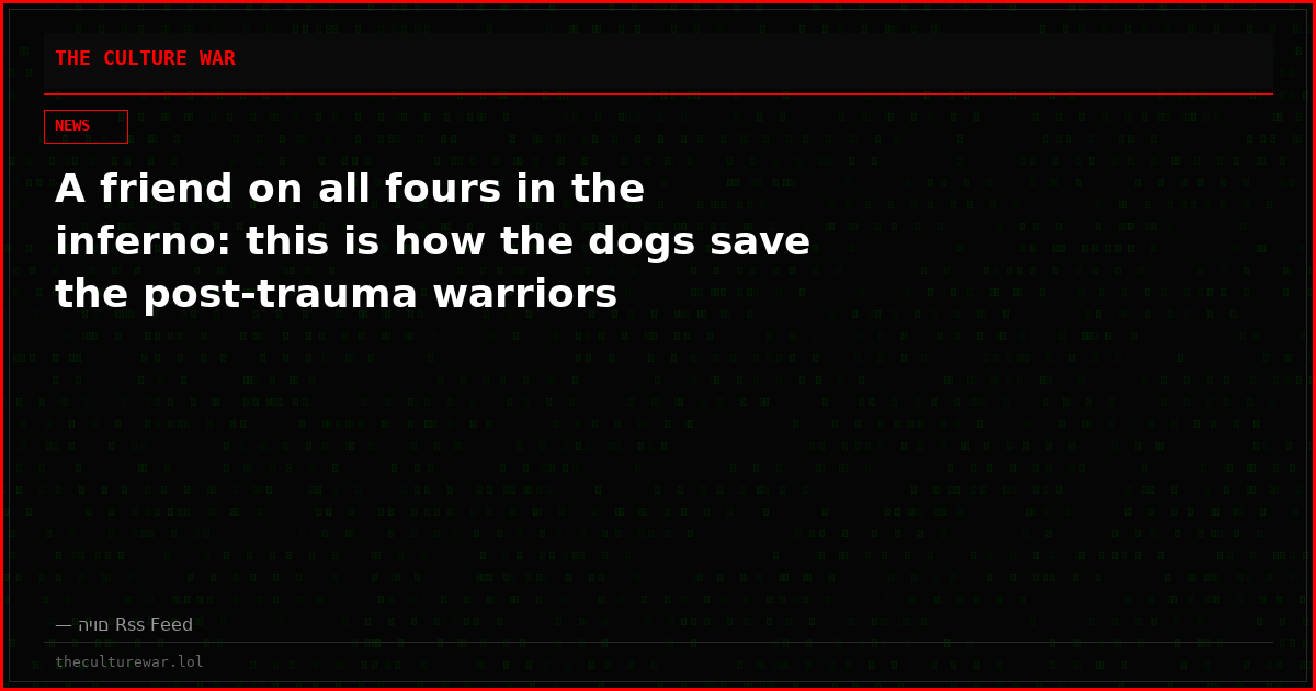 A friend on all fours in the inferno: this is how the dogs save the post-trauma warriors