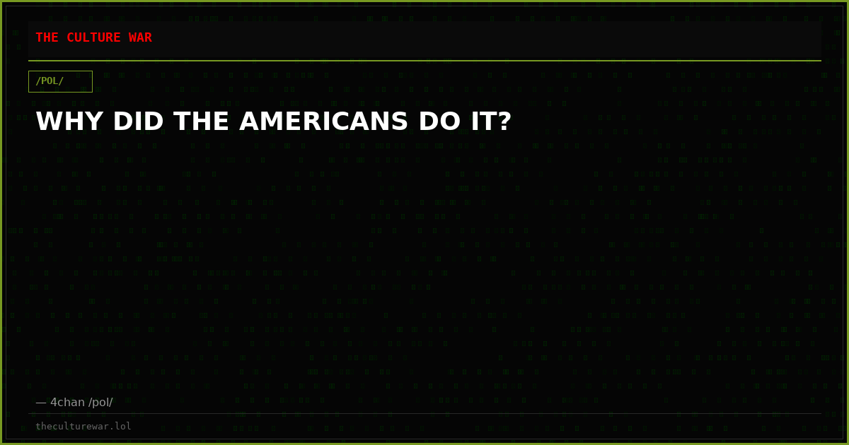 WHY DID THE AMERICANS DO IT?