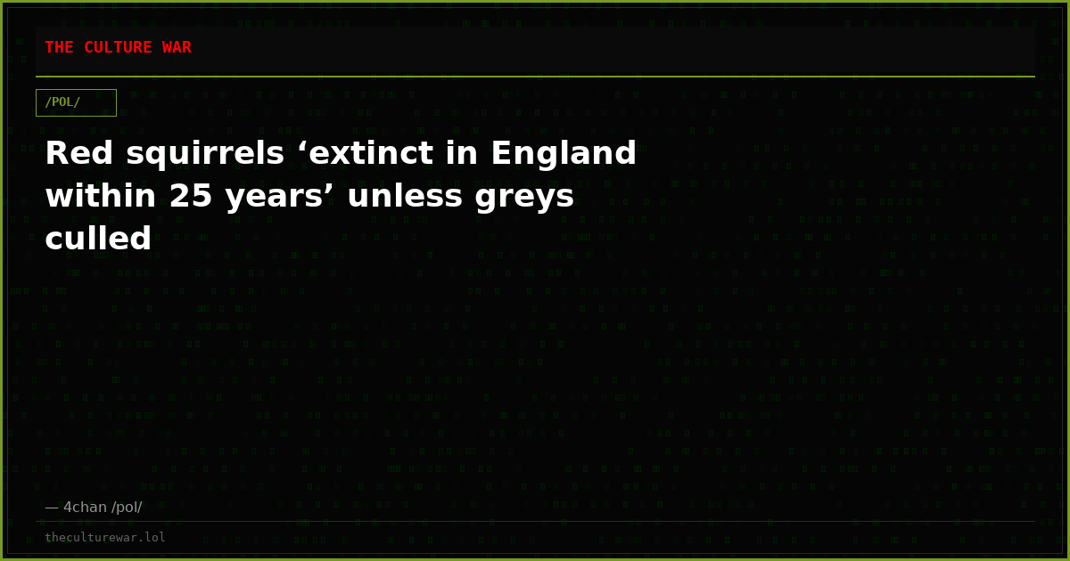 Red squirrels ‘extinct in England within 25 years’ unless greys culled
