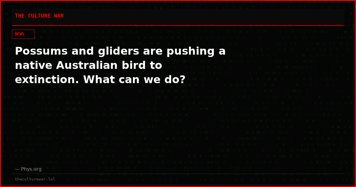 Possums and gliders are pushing a native Australian bird to extinction. What can we do?