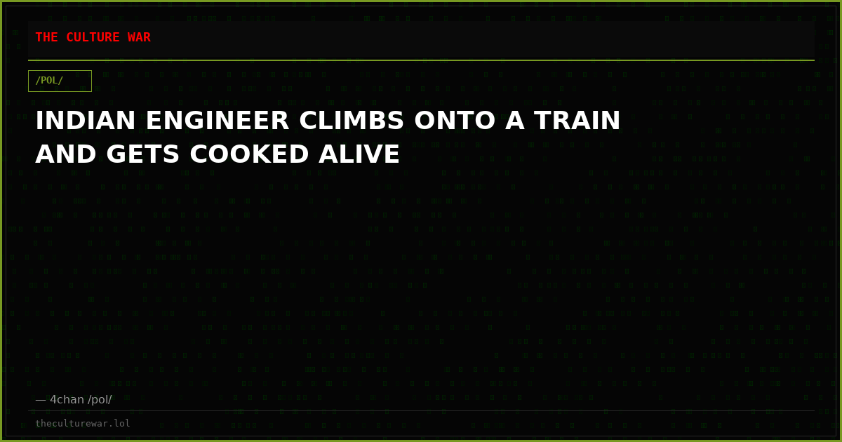 INDIAN ENGINEER CLIMBS ONTO A TRAIN AND GETS COOKED ALIVE
