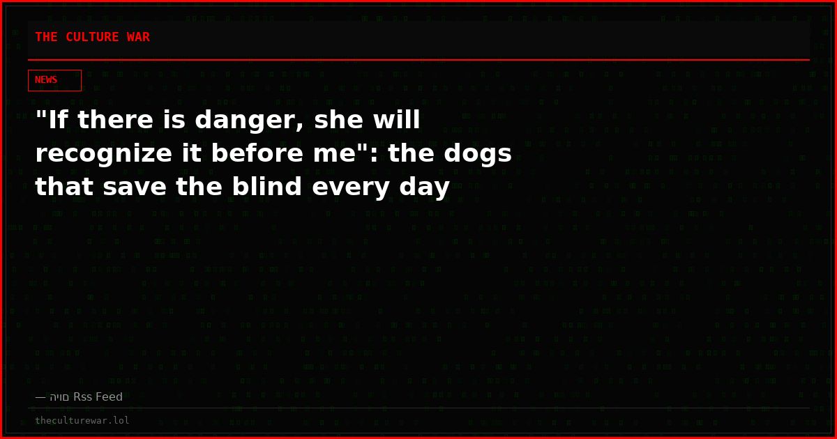 "If there is danger, she will recognize it before me": the dogs that save the blind every day