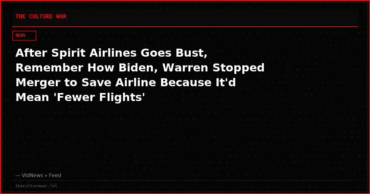 After Spirit Airlines Goes Bust, Remember How Biden, Warren Stopped Merger to Save Airline Because It'd Mean 'Fewer Flights'