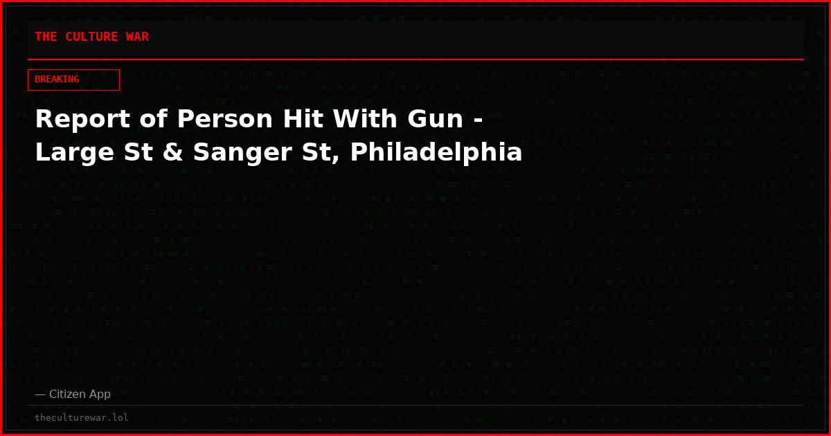 Report of Person Hit With Gun - Large St & Sanger St, Philadelphia