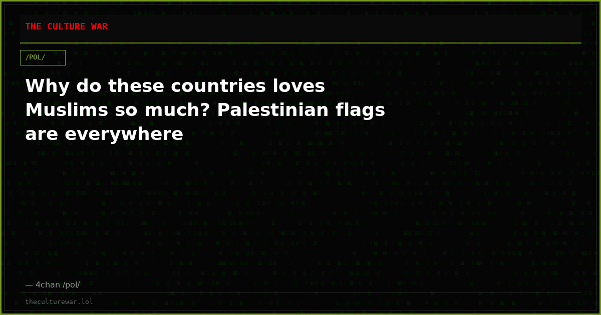 Why do these countries loves Muslims so much? Palestinian flags are everywhere