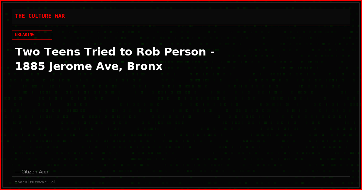 Two Teens Tried to Rob Person - 1885 Jerome Ave, Bronx