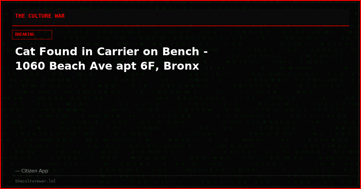 Cat Found in Carrier on Bench - 1060 Beach Ave apt 6F, Bronx