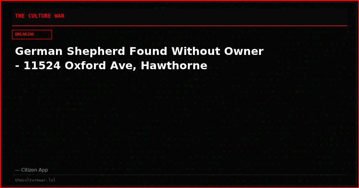 German Shepherd Found Without Owner - 11524 Oxford Ave, Hawthorne