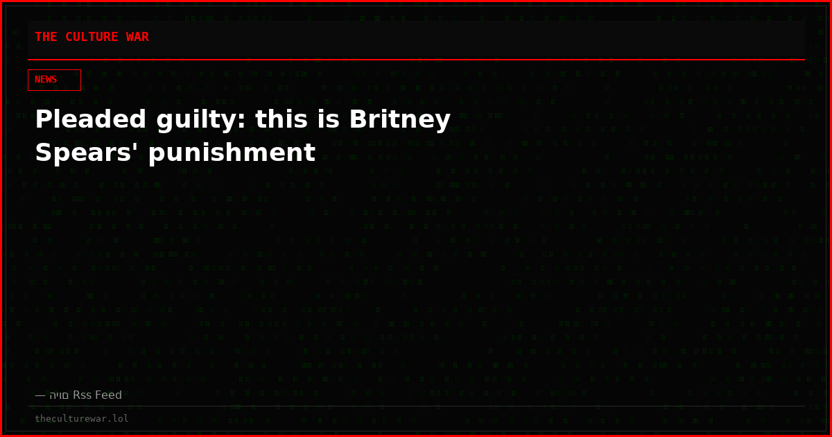 Pleaded guilty: this is Britney Spears' punishment