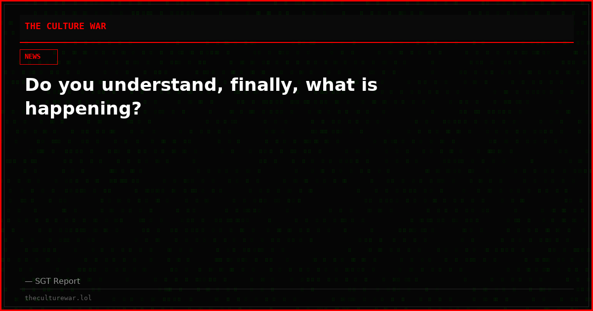 Do you understand, finally, what is happening?