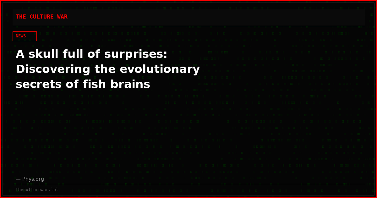 A skull full of surprises: Discovering the evolutionary secrets of fish brains