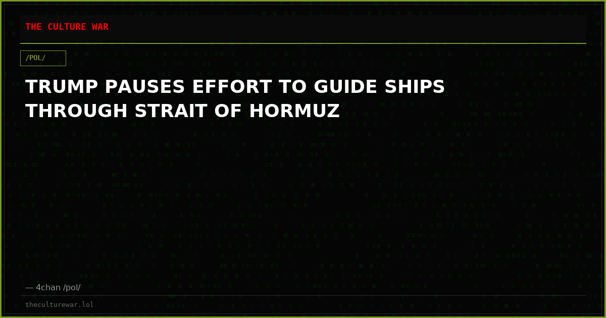 TRUMP PAUSES EFFORT TO GUIDE SHIPS THROUGH STRAIT OF HORMUZ